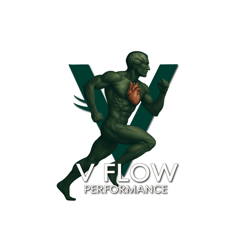 V FLOW Performance Logo